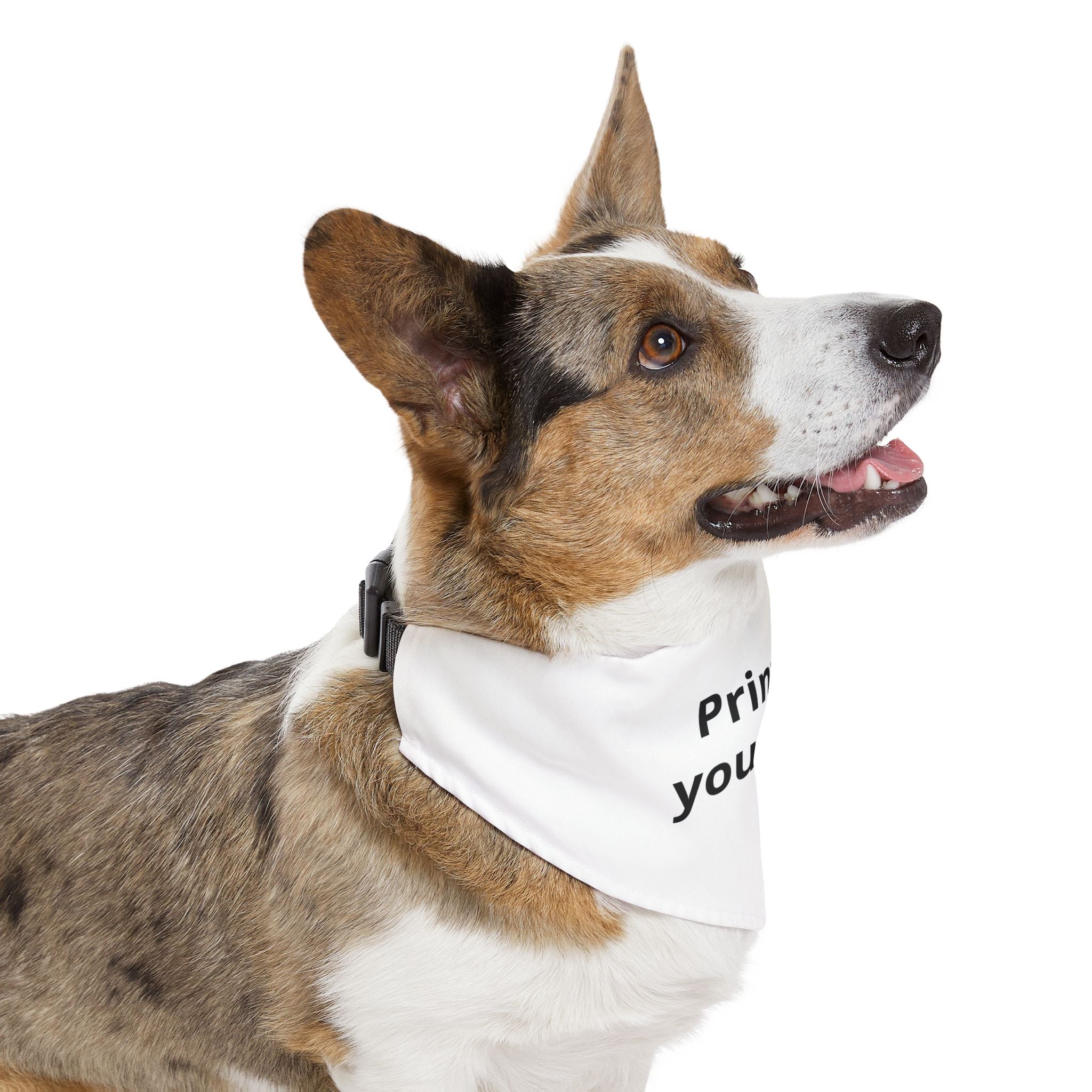 Customizable Pet Bandana Collar — "Print it Your Way" Dog & Cat Accessory