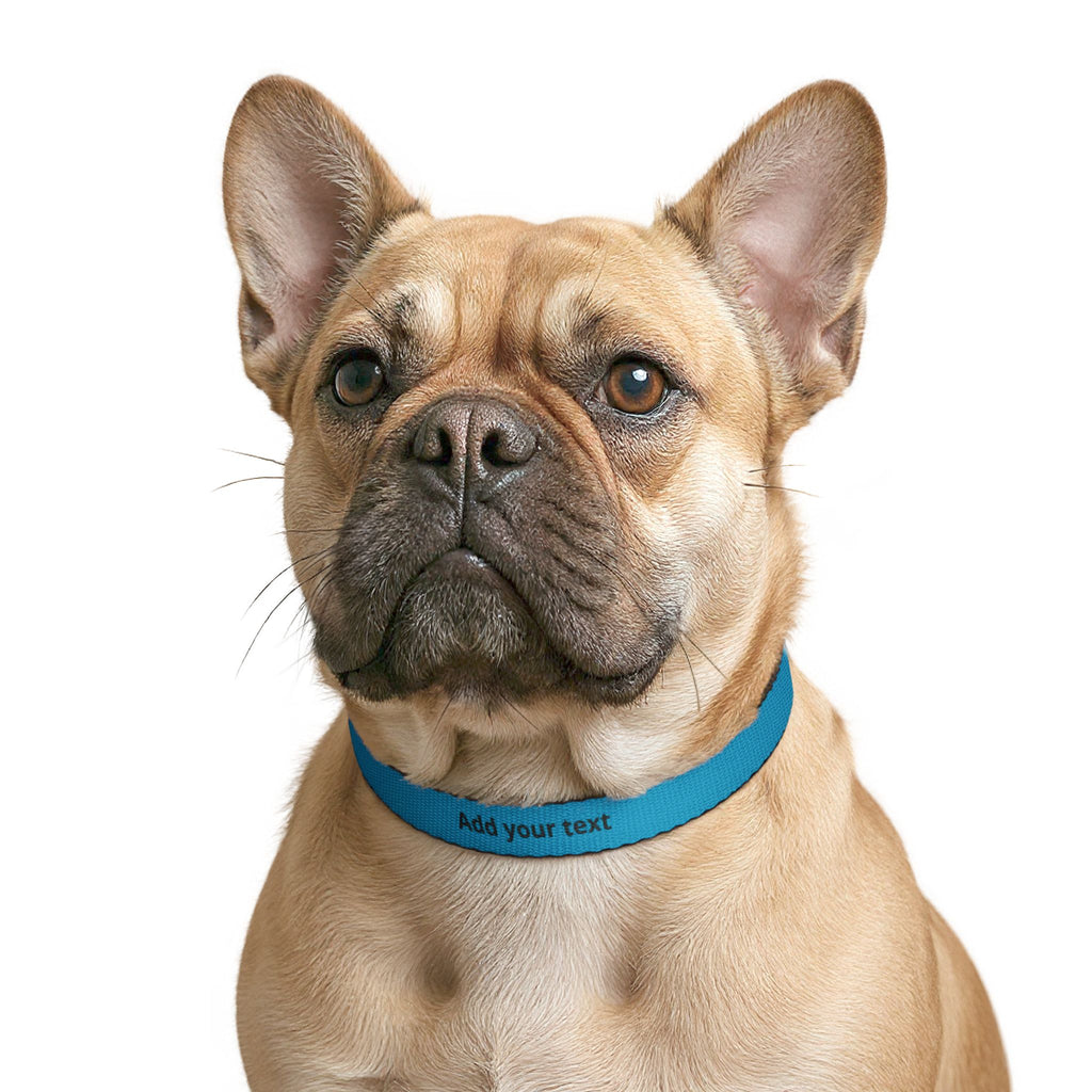 Personalized Clip-On Pet Collar — Custom Text Dog Collar, Lightweight Adjustable ID Collar